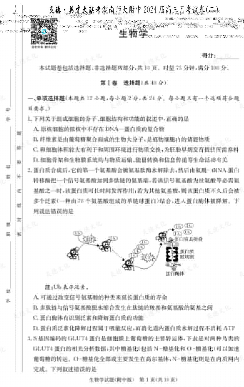 [生物]炎德英才大聯(lián)考2024屆湖南師大附中高三2次月考