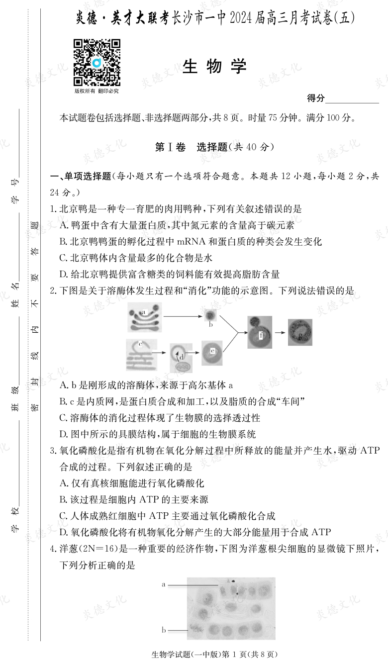 [生物]炎德英才大聯(lián)考2024屆長沙市一中高三5次月考